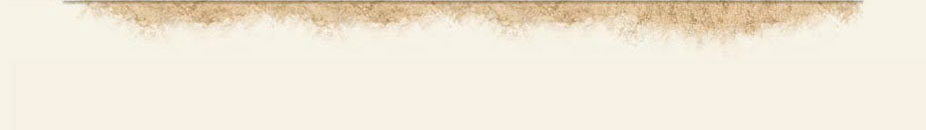 Footer graphic